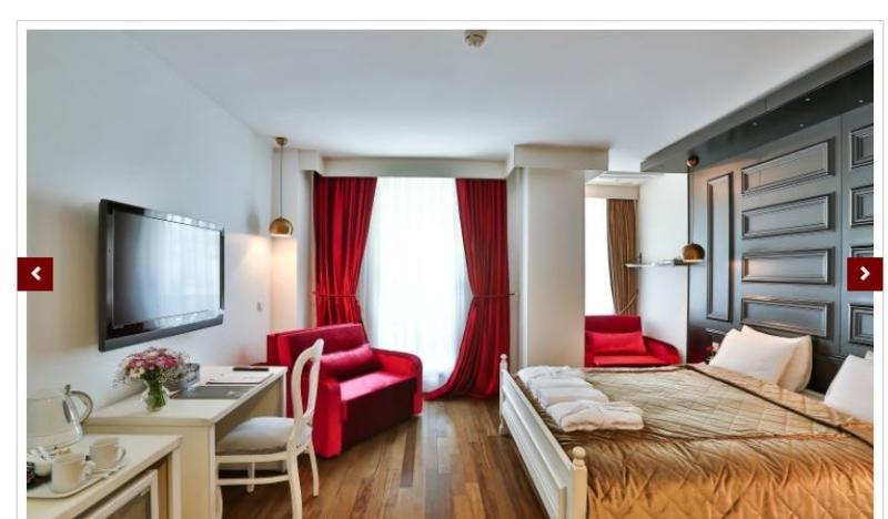 Senatus Hotel - Special Class Κωνσταντινούπολη Εξωτερικό φωτογραφία